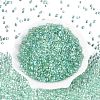 Transparent Electroplate Glass Beads EGLA-Q138-01E-2
