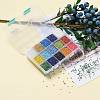 375G 15 Colors Glass Seed Beads SEED-JP0004-04-2mm-5