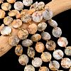 Natural Crazy Agate Beads Strands G-A292-A05-01-1