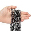 Spray Painted Crackle Glass Beads Strands CCG-Q002-8mm-11-4