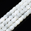 Natural Trochid Shell/Trochus Shell Beads Strands SSHEL-N034-121-B01-1