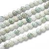 Natural Jadeite Beads Strands G-L568-001D-1