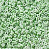 6/0 Opaque Colours Seep Glass Seed Beads SEED-F003-04A-06-3