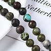 Natural Variscite Beads Strands G-S299-129B-4