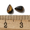 Natural Tiger Eye Cabochons G-Q173-02A-04-3