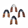 Transparent Resin & Walnut Wood Pendants RESI-N025-029-C-2