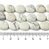 Natural Howlite Beads Strands G-K365-B14-02-5