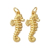 Brass Pendants KK-A271-09I-G-1