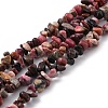 Natural Rhodonite Chip Bead Strands G-M205-24-1
