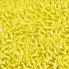 FGB Transparent Glass Seed Beads SEED-N013-01B-12-3