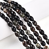 Natural Biotite Beads Strands G-N346-02B-02-1