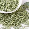 MIYUKI Round Rocailles Beads X-SEED-G008-RR4473-1