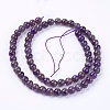 Natural Chevron Amethyst Beads Strands G-S029-2