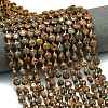 Natural Starburst Jasper Beads Strands G-C116-A40-02-1