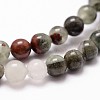 Natural African Bloodstone Beads Strands G-G735-32-10mm-3