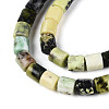 Natural Serpentine Beads Strands G-T141-90A-3
