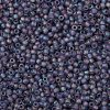 TOHO 11/0 Round Beads X-SEED-TR11-0166DF-2