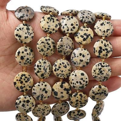 Natural Dalmatian Jasper Beads Strands G-A292-A06-01-1
