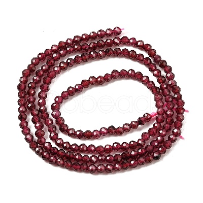 Imported Natural Garnet Beads Strands G-A129-2mm-05-1