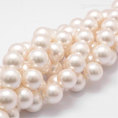 Shell Pearl Bead Strands BSHE-L026-03-16mm-1