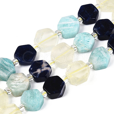Natural Sodalite & Flower Amazonite & Lemon Quartz Beads Strands G-N358-03A-06-1