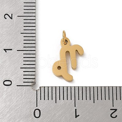 304 Stainless Steel Charms STAS-R001-04G-10-1