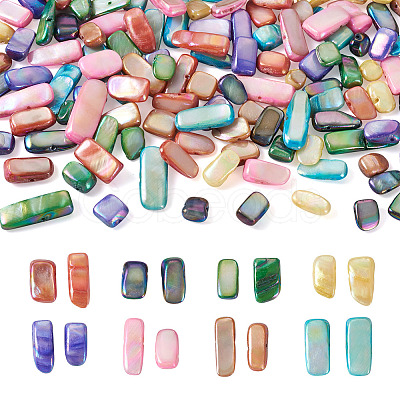 160Pcs 8 Colors Natural Freshwater Shell Beads Strands SHEL-CD0001-06-1