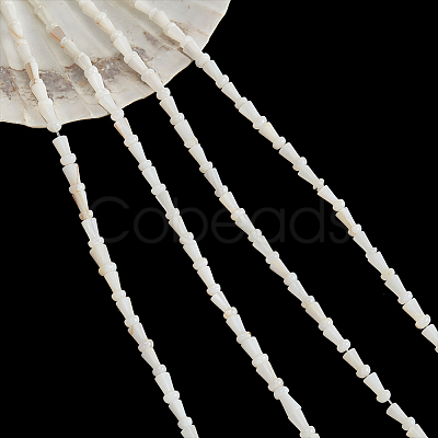 4 Strands Natural Freshwater Shell Beads Strands SHEL-NB0001-52-1