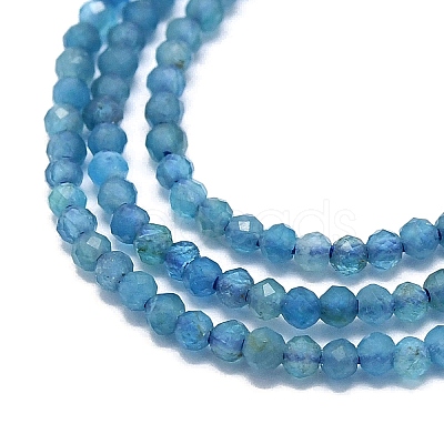 Natural Apatite Beads Strands G-G106-C06-04-1