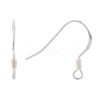 925 Sterling Silver Earring Hooks STER-K167-049B-S-1