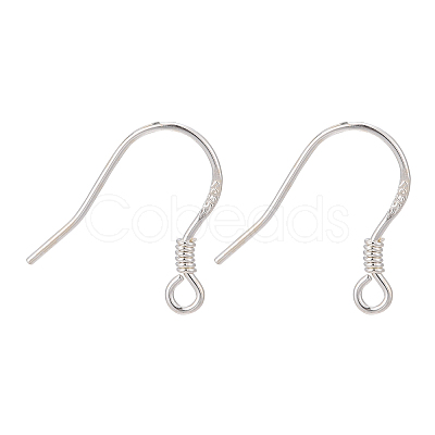 925 Sterling Silver Earring Hooks STER-P032-03S-1