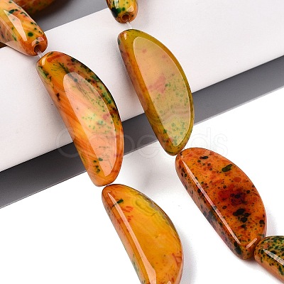 Natural Multi-Color Agate Beads Strands G-Q606-72-1