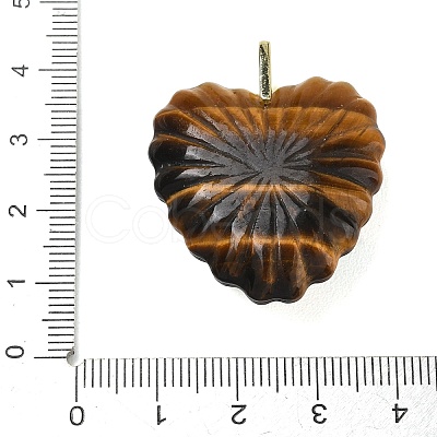 Natural Tiger Eye Carved Pendants G-C276-01G-11-1
