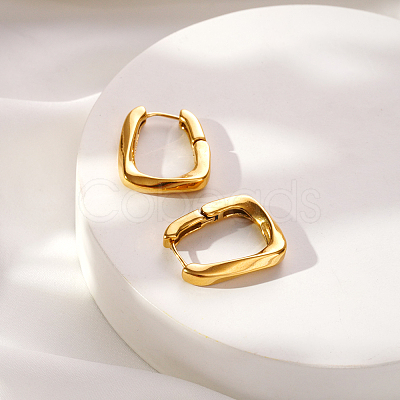 304 Stainless Steel Hoop Earrings for Women VX9531-1