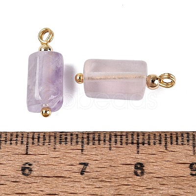 Natural Fluorite Pendants GG-N004-01G-03-1
