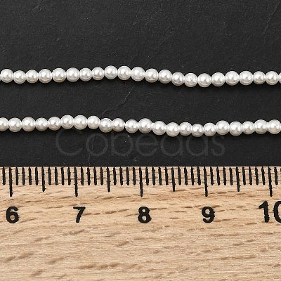 Electroplated Shell Pearl Beads Strands X-BSHE-K017-2mm-1