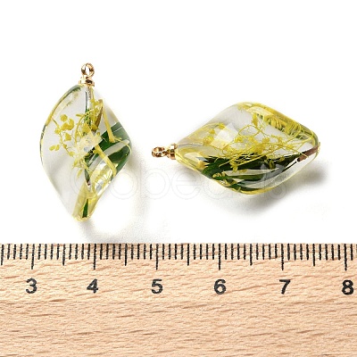 Inner Dried Flower Transparent Resin Pendants LS-RESI-A043-02C-1
