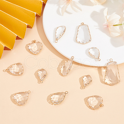 12Pcs 6 Style Clear Glass Pendants FIND-GO0003-63-1
