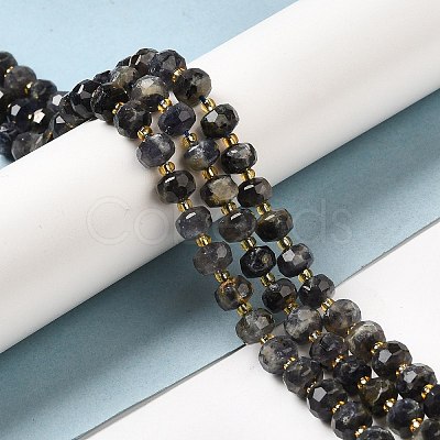 Natural Iolite Beads Strands G-P508-A12-01-1