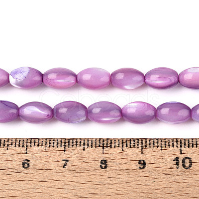 Natural Trochus Shell Beads Strands X-SHEL-K006-19-01D-1