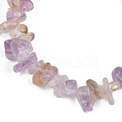 Unisex Chip Natural Ametrine Beaded Stretch Bracelets BJEW-S143-52-1
