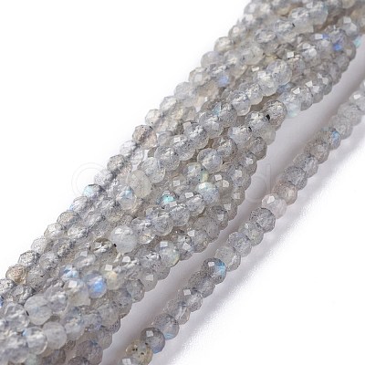 Natural Labradorite Beads Strands G-A026-C03-1