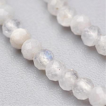 Natural Rainbow Moonstone Bead Strands G-P213-21-3mm-1