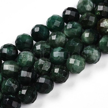 Natural Fuchsite Beads Strands G-S345-10mm-33-1