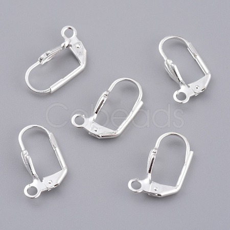 Brass Leverback Earring Findings X-KK-Z007-28S-1
