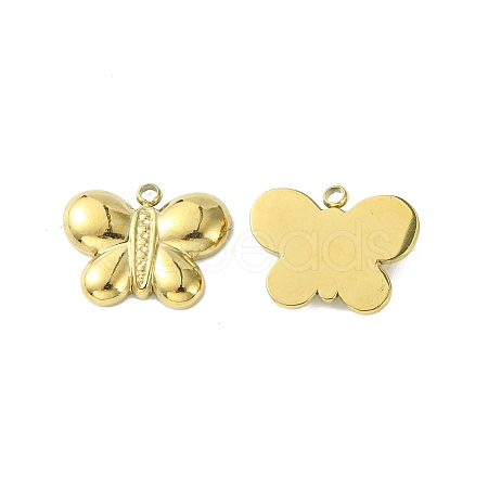 304 Stainless Steel Pendants STAS-L269-030G-1
