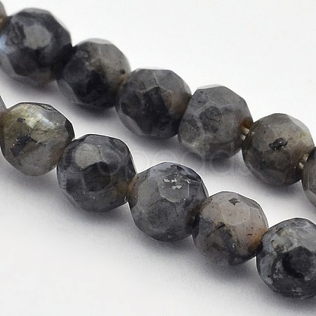 Faceted Round Natural Larvikite Beads Strands G-E302-083-4mm-1