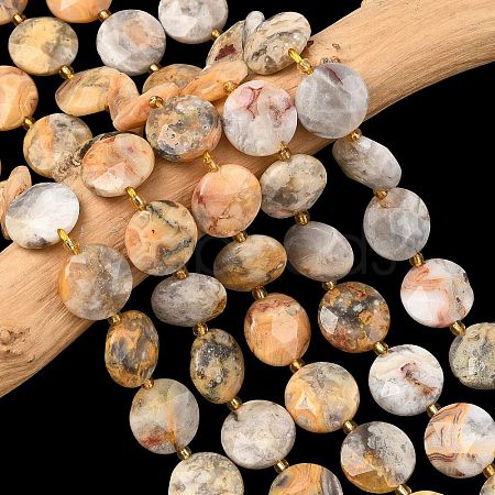 Natural Crazy Agate Beads Strands G-A292-A05-01-1