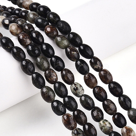 Natural Biotite Beads Strands G-N346-02B-02-1