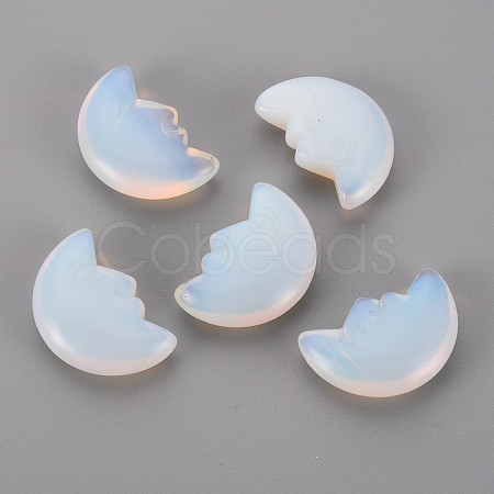 Opalite Beads G-T132-033-1